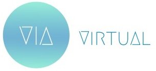 viavirtual_logo_deitada